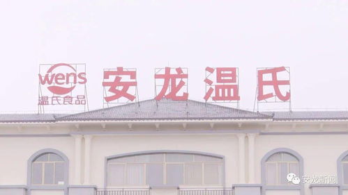 安龙温氏养殖饲料厂 为年出栏60万头生猪提供坚实后盾