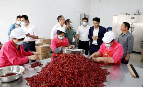 借力乡村振兴，打造城市后花园——行走嘉陵区曲水镇看生猪养殖新图景